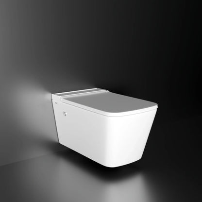Zenith Wall-Hung Tankless Western Commode1