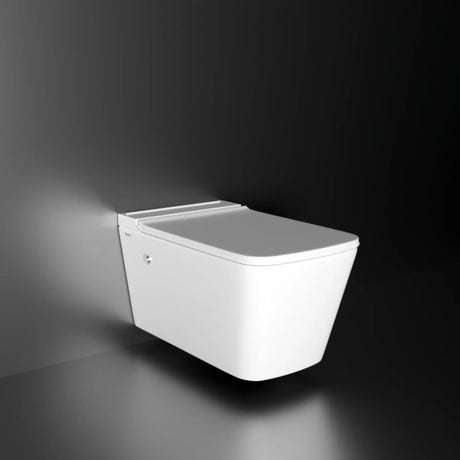 Zenith Wall-Hung Tankless Western Commode1